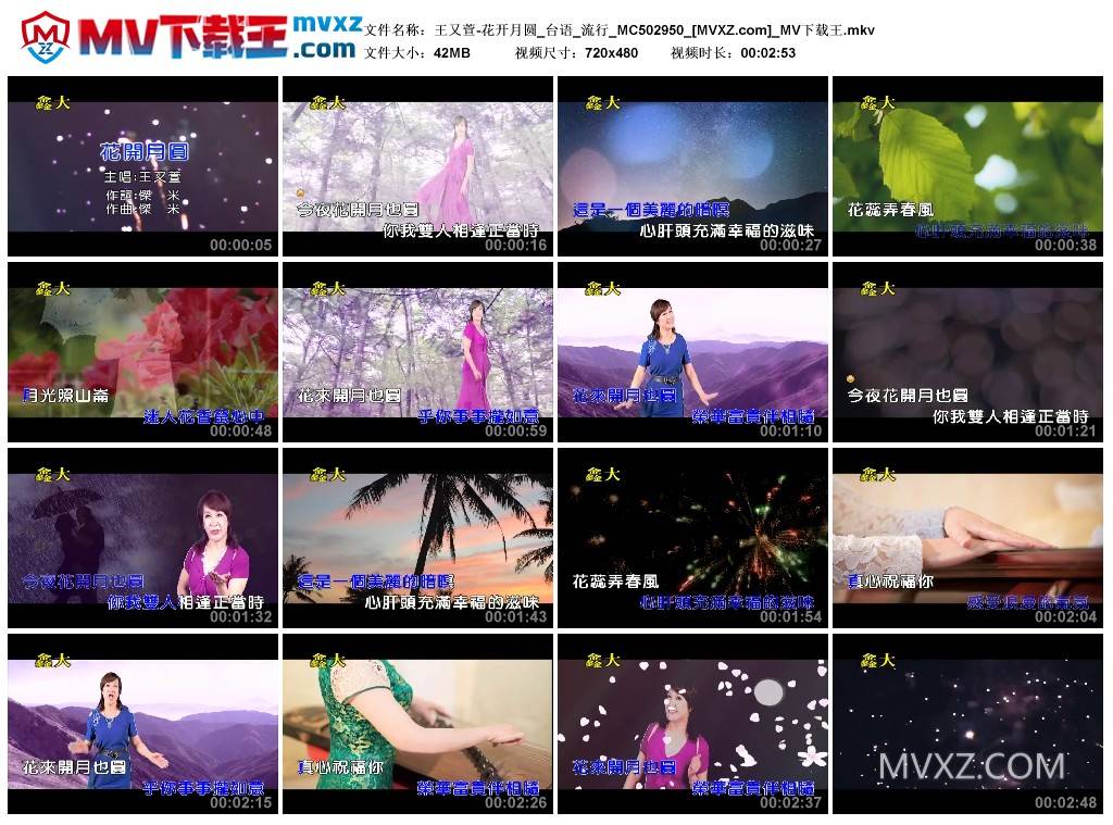 王又萱-花开月圆_台语_流行_MC502950